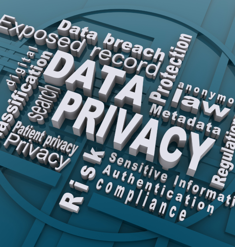 Data Privacy